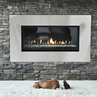 dog in front of a medium indoor contemporary fireplace