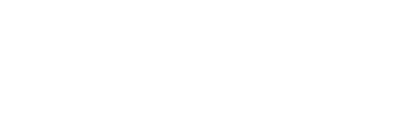 finishing touch logo