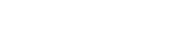 napoleon logo