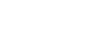 twin eagles logo